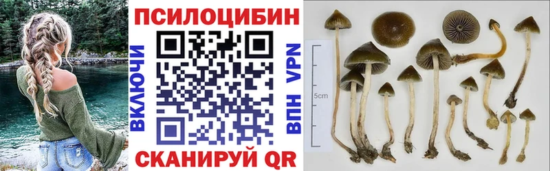 Псилоцибиновые грибы Cubensis  MEGA зеркало  Сибай  купить наркотики цена 