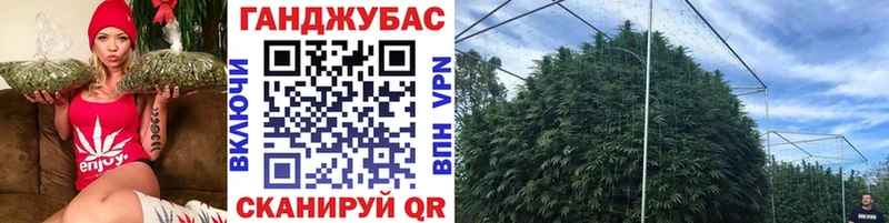 Бошки Шишки VHQ  купить  цена  Сибай 